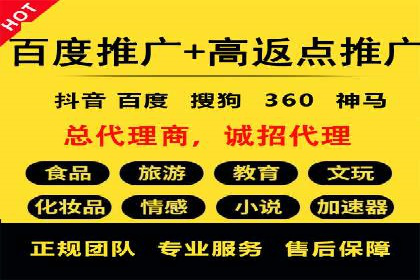 百度SEM推广案例：揭秘行业领军企业的成功之路